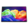 Monitor LED 21" i mniejszy Acer ProDesigner PE160WUTSMIUUX